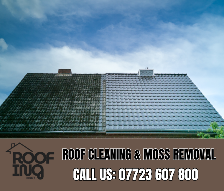 Roof cleaning and moss removal in Great Torrington